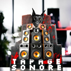 Never stop Tekno - Tapage Sonore
