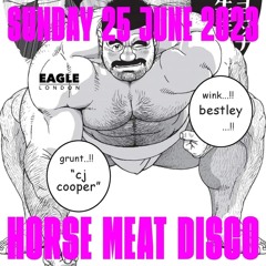 Cj cooper live at Horse meat disco 25.06.23 The Sleaze session