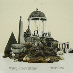 We must all act together now (excerpt) - from Waiting for The Great Reset - David Evans out Oct 27