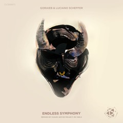 Endless Symphony (Ric Niels Remix) [La Cura de la Semana]