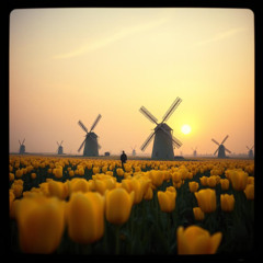 Oh Netherlands