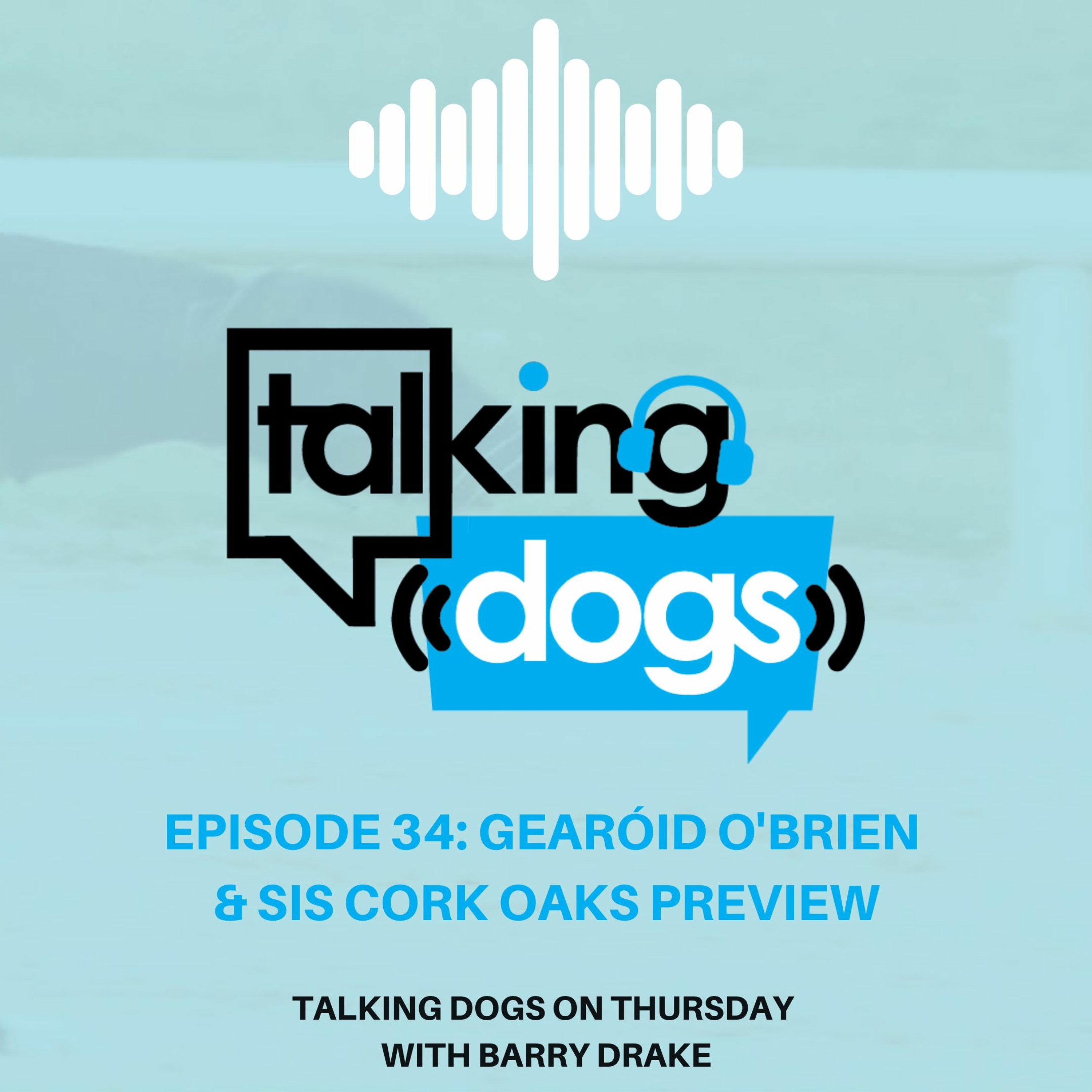 Talking Dogs on Thursday