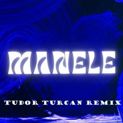 Denis Nuca - Wella, Wella(TUDOR TURCAN REMIX)
