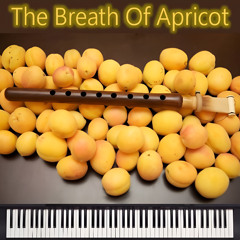The breath of apricot