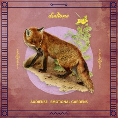 Premiere: Audiense - On the Shore [Dialtone Records]