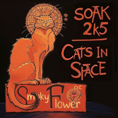 SOAK 2k5 - Cats In Space - Strange Magic