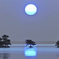 WITH THE SWEET STUFF