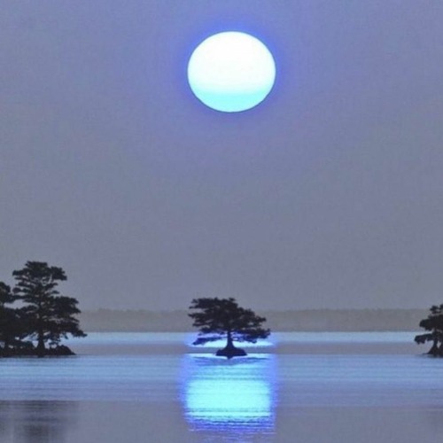 WITH THE SWEET STUFF