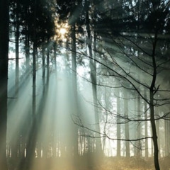 LightGroove