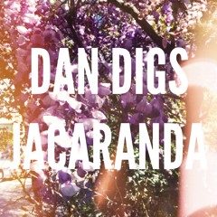 Dan Digs - Jacaranda