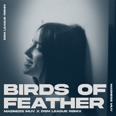 Billie Eilish - BIRDS OF A FEATHER (Madness Muv X DSM League Remix)