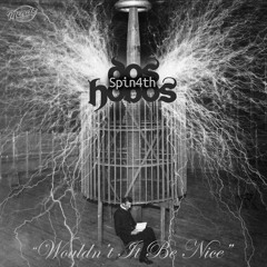 Wouldnt It Be Nice? (spin4th)