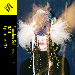 | EPISODE 217 | Nao