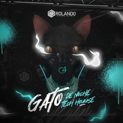 Bad Bunny - Gato De Noche (Tech House Remix) Rolando Rodriguez
