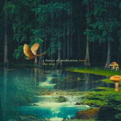 Meditation