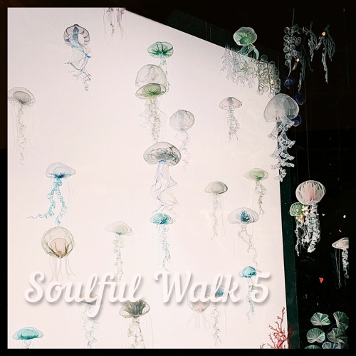 Soulful Walk 5║Carried Away║2024.3.12║Soulful / Afro / Vocals