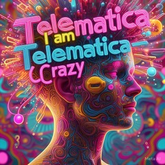 TELEMATICA-I AM CRAZY