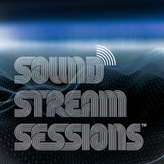 Turtle's Groove (Sw3rv3 - Mobile Unit) Organic, Downtempo, Progressive House - Live Mix