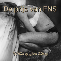De prijs van FNS