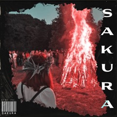 ~S~A~K~U~R~A~