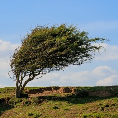 Saltwater Room Prod Offpace (ish7k)