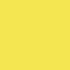 SS20