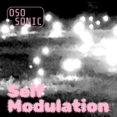 Self Modulation