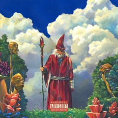 WIZARDS(DD)