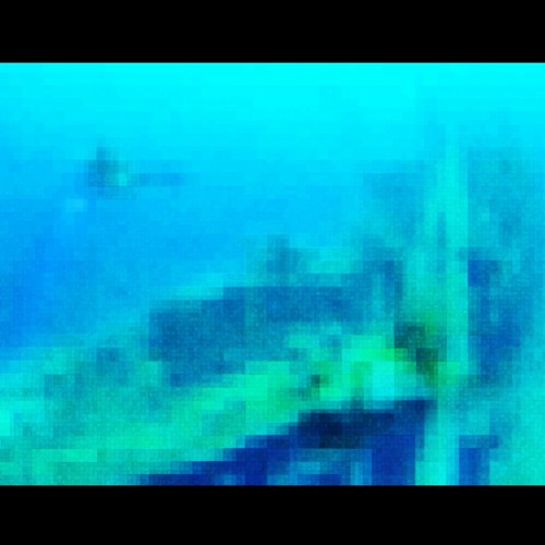 biome (helica & aidanswank)