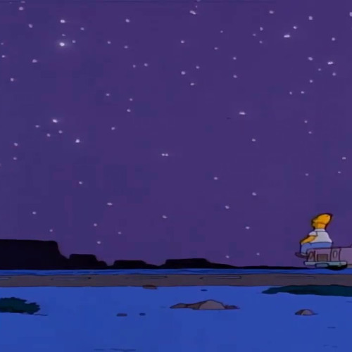 ｄｊ ｓｅａｒｃｈｉｎｇ ｆｏｒ ｃｒａｂｓ ｏｎ ｔｈｅ ｗｉｌｄ ｂｅａｃｈ ｉｎ ａ ｒｏｃｋs － ｎｉｇｈｔ ｆｅｅｌｉｎｇｓ