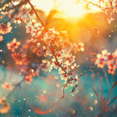Dj Moky- Deep House Spring Vibes Vol 4 (2025)