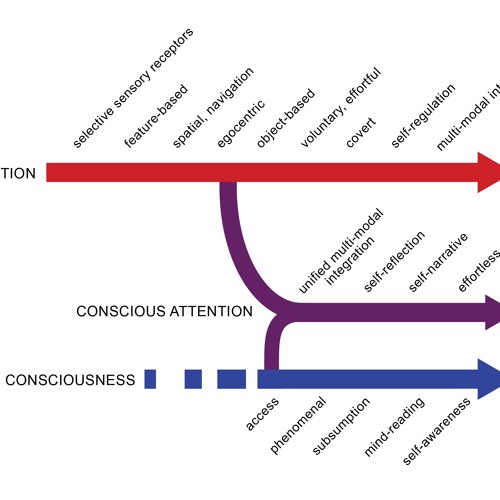 Conscious Attention