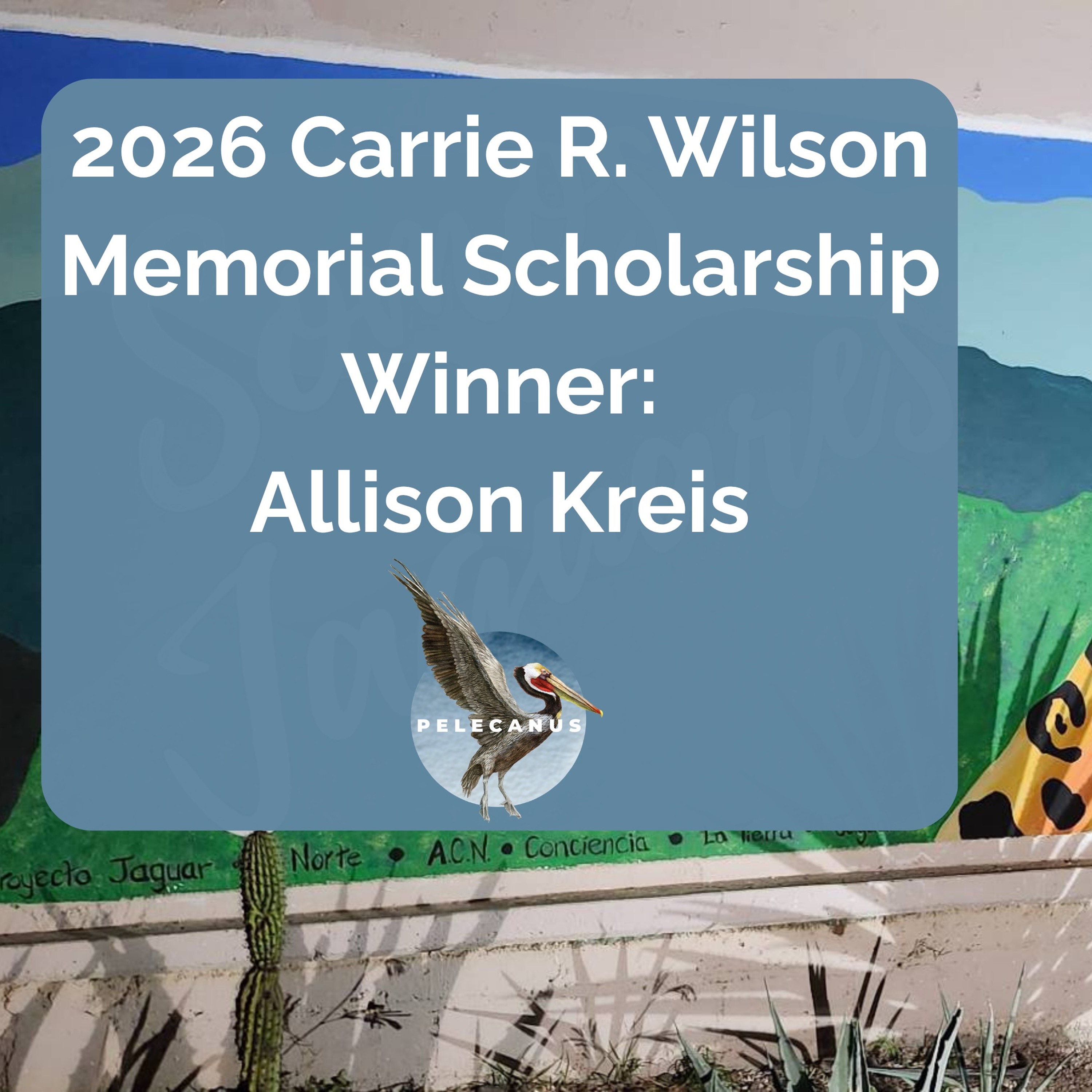2026 Carrie Wilson Scholarship Winner: Allison Kreis episode artwork