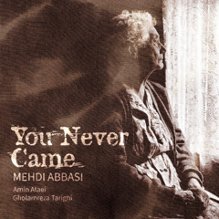 Mehdi Abbasi & Amin Ataei - You Never Came