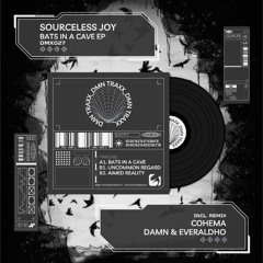 PREMIERE: Sourceless Joy - Bats In a Cave (DAMN & Everaldho Remix) [DMX027]