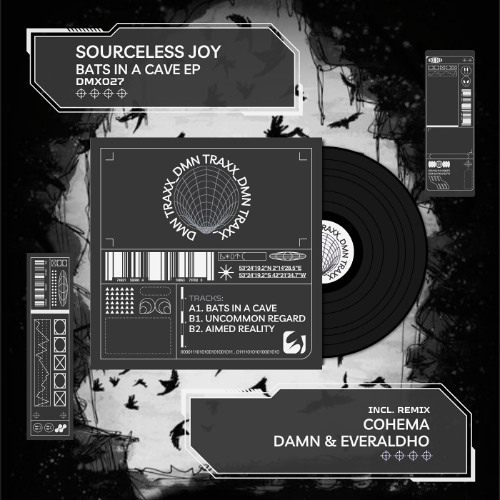 PREMIERE: Sourceless Joy - Uncommon Regard (Cohema Remix) [DMX027]