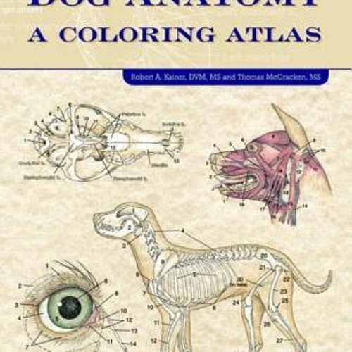 Stream [PDF] Dog Anatomy: A Coloring Atlas Download from Elvera Lemke ...
