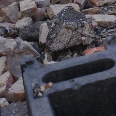 BROADCAST 002 - 12.09.2024 19:16