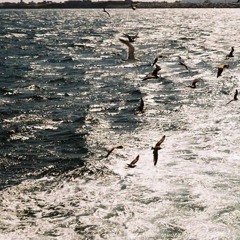 Beyond  [Instrumental]