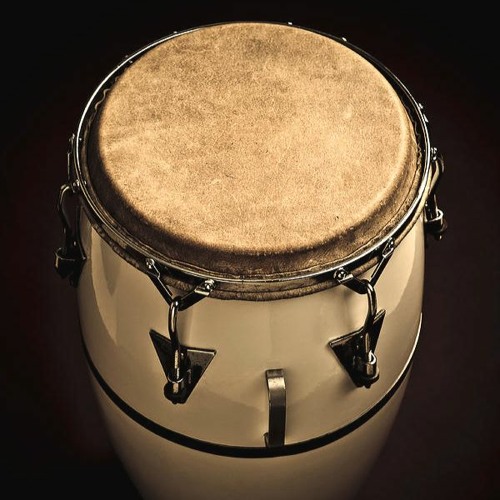 STS349Sushi Assignment 4 Congas