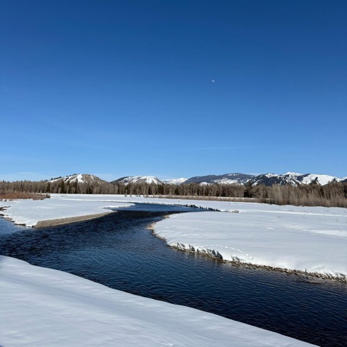 SNAKE RIVER / JACKSON HOLE