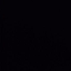 heads or tails - snolax