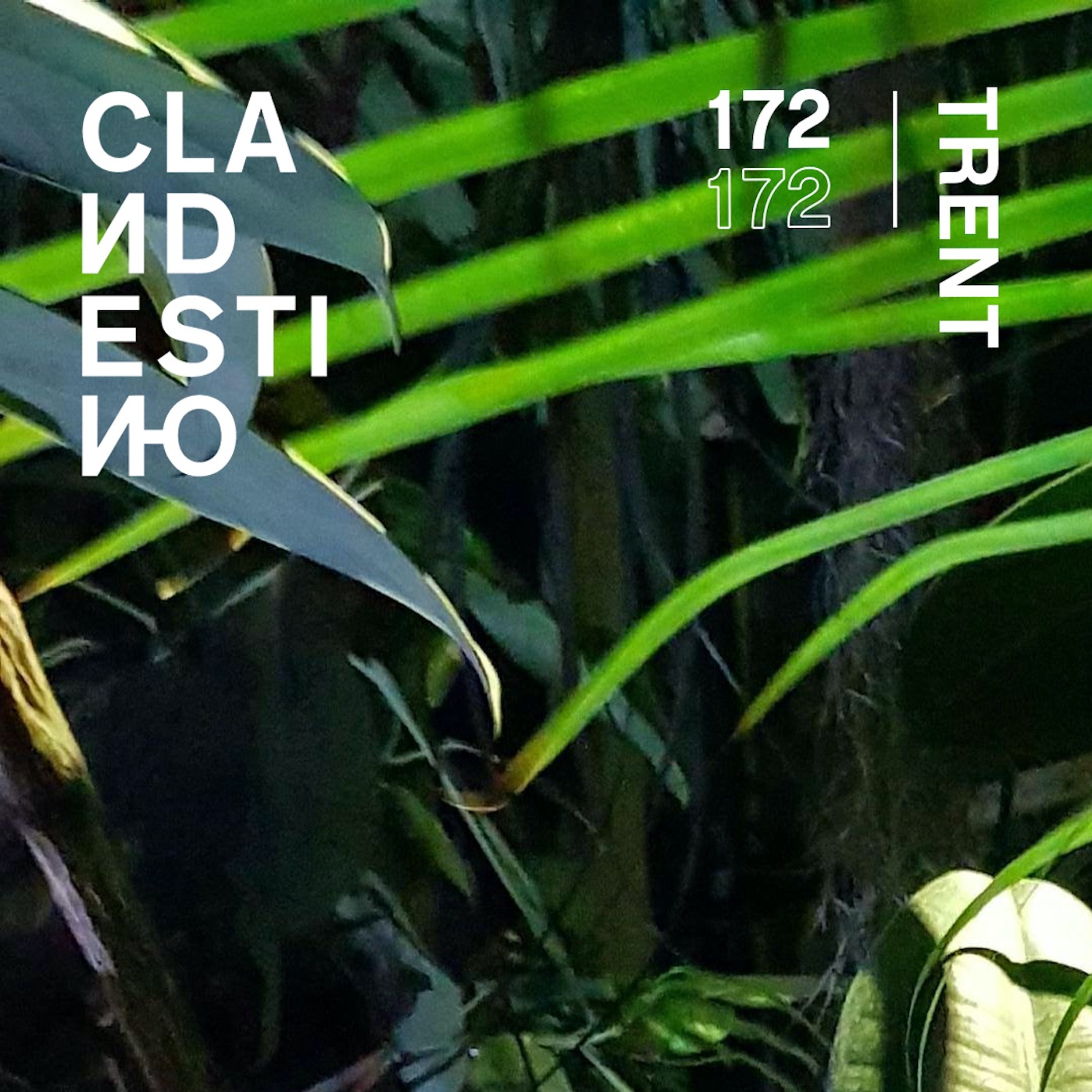 Clandestino Podcasts