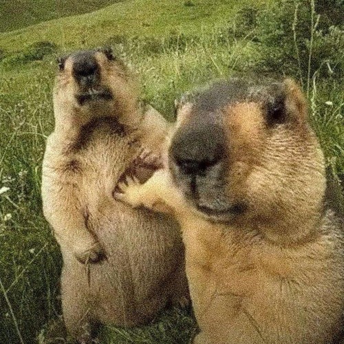 Ngất Ngây Remix - Satan