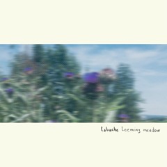 Tabache - pursuit [Tiny Drones For Lovers]