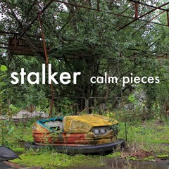 Stalker - Calm Pieces (2024)