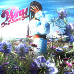 Purplereiign - Why Do I Love You