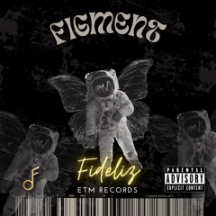 FIDELIZ - Figment