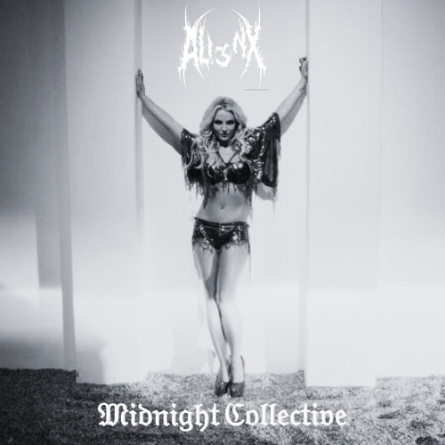 Britney Spears - Work B!tch  (ALI3NX REMIX)