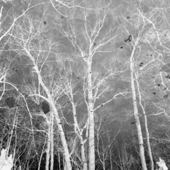 queen and mother - art of terrifying